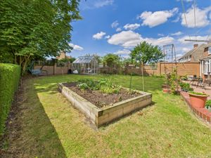 Vegetable garden- click for photo gallery
